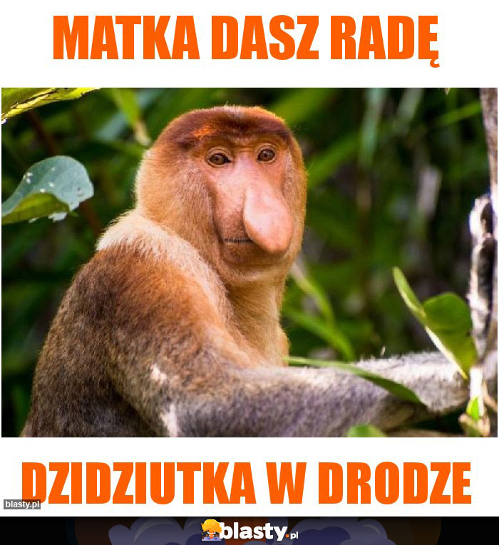 Matka dasz radę