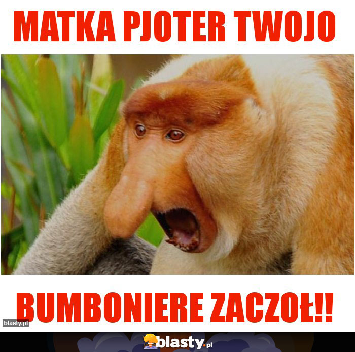 Matka Pjoter Twojo