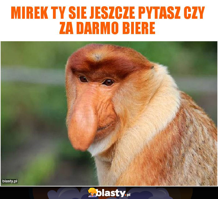 Mirek ty sie jeszcze pytasz czy za darmo biere