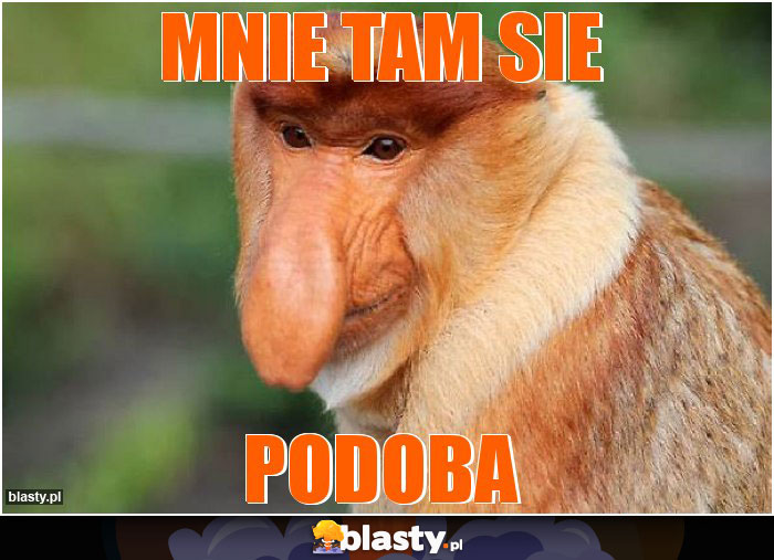 Mnie tam sie
