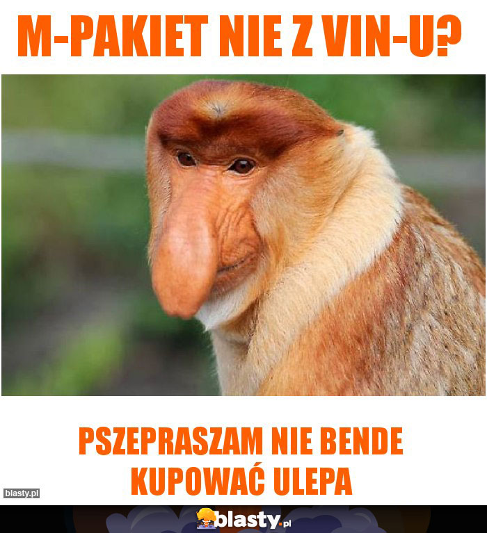 M-pakiet nie z VIN-u?