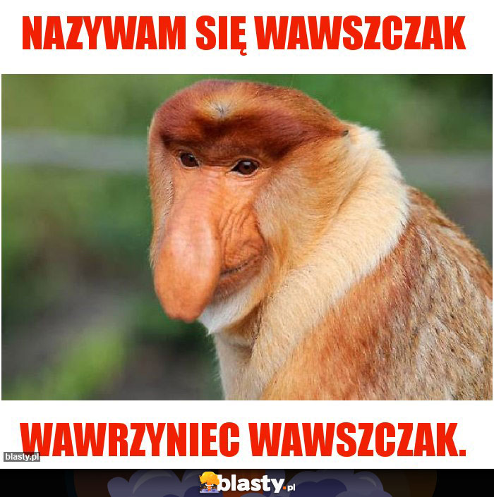 NAZYWAM SIĘ WAWSZCZAK