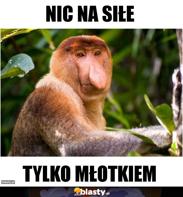Nic na siłe