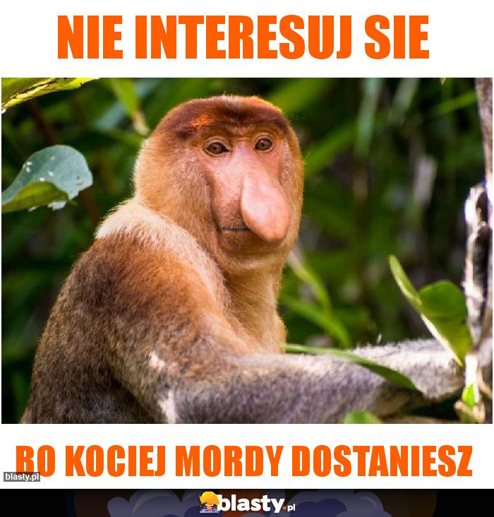 Nie interesuj sie