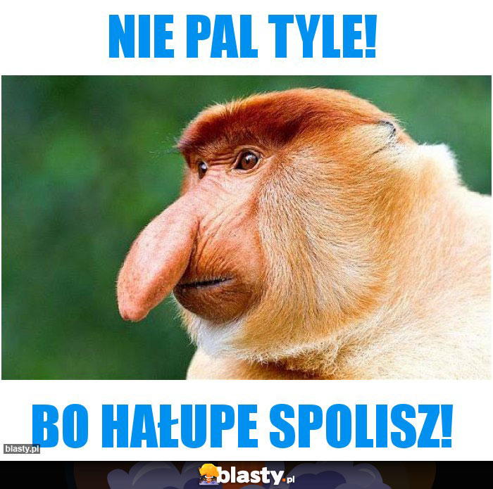 Nie pal tyle!
