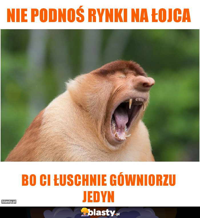 nie podnoś rynki na łojca