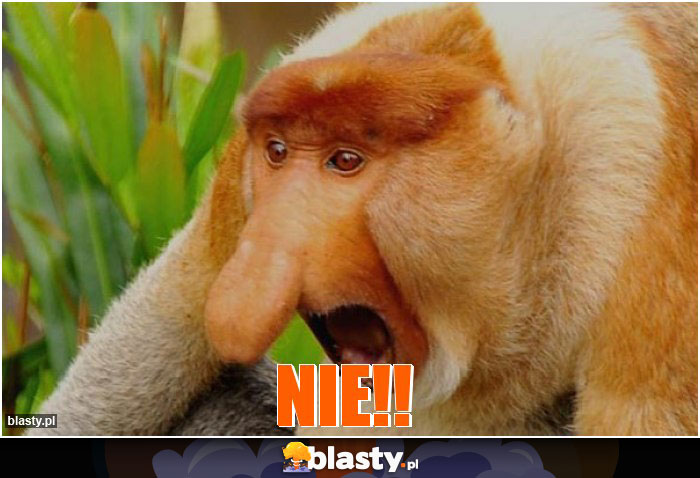 NIE!!
