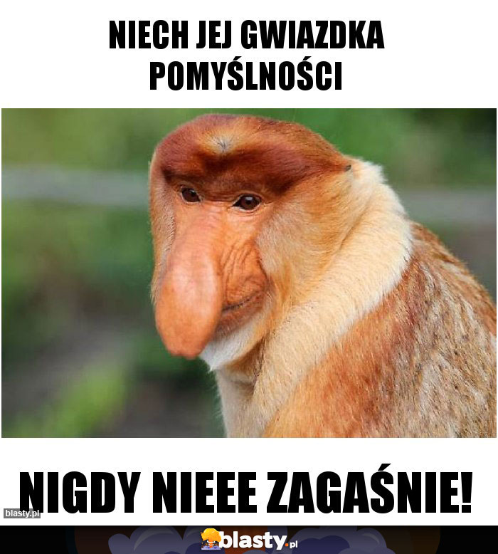 Niech jej gwiazdka pomyślności