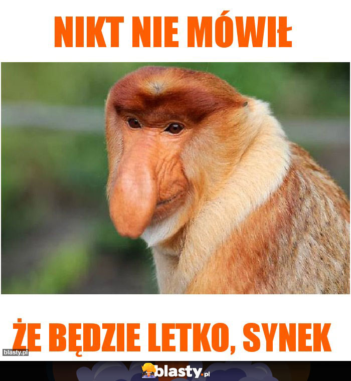 Nikt nie mówił
