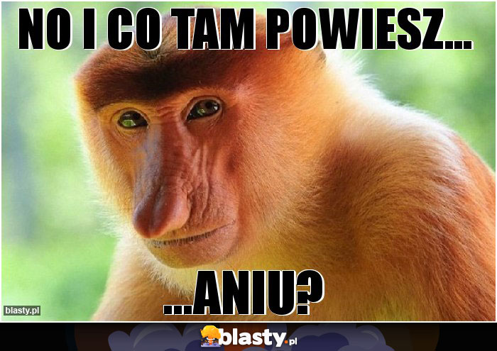 NO I CO TAM POWIESZ...