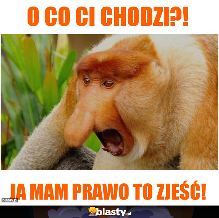 O co ci chodzi?!