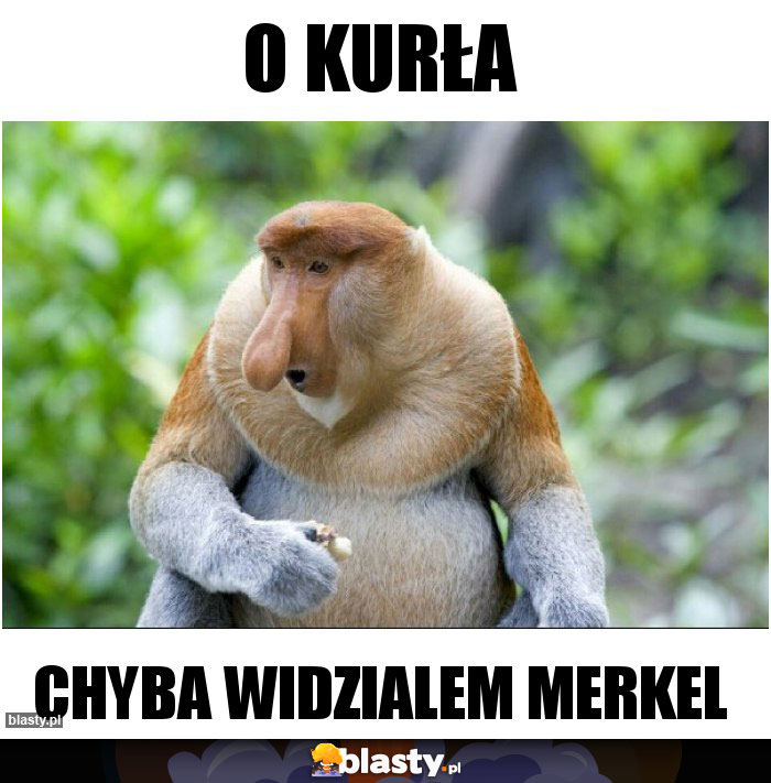 O kurła