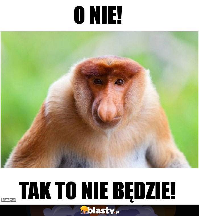 o nie!