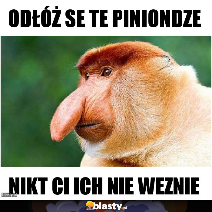 ODŁÓŻ SE TE PINIONDZE