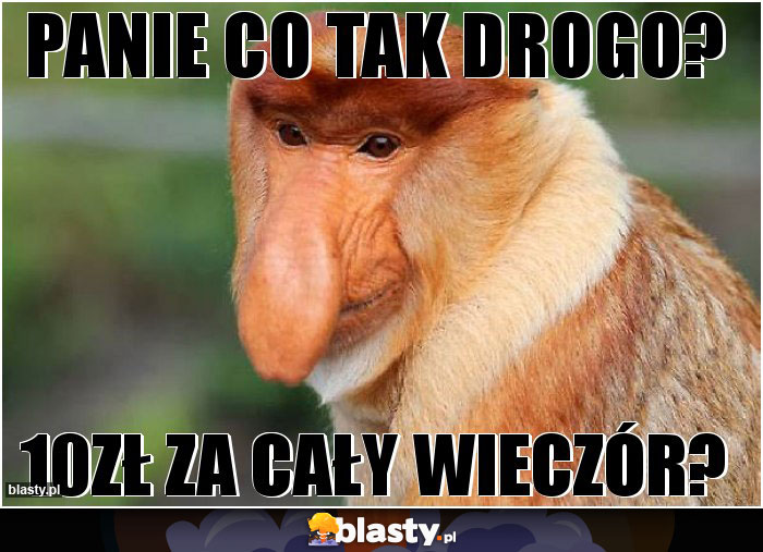 Panie co tak drogo?