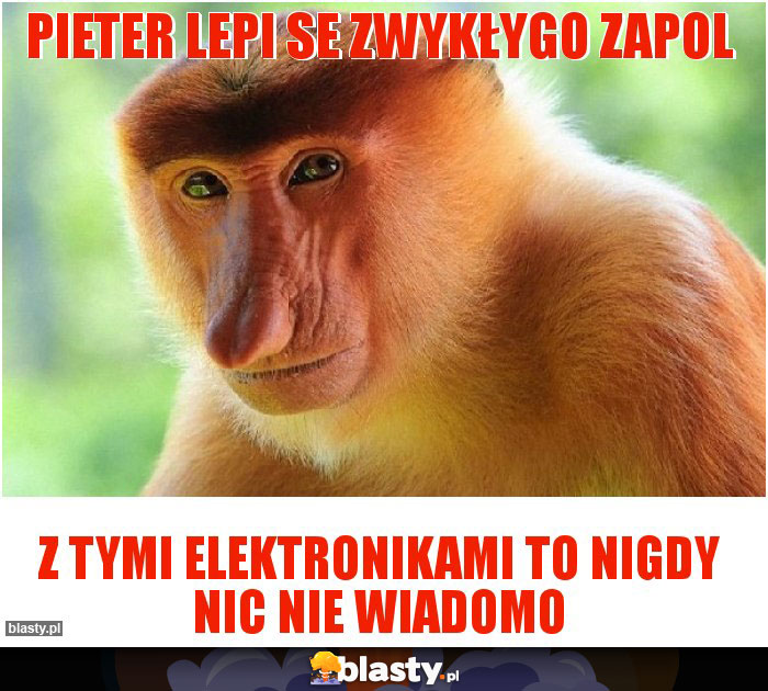 pieter lepi se zwykłygo zapol
