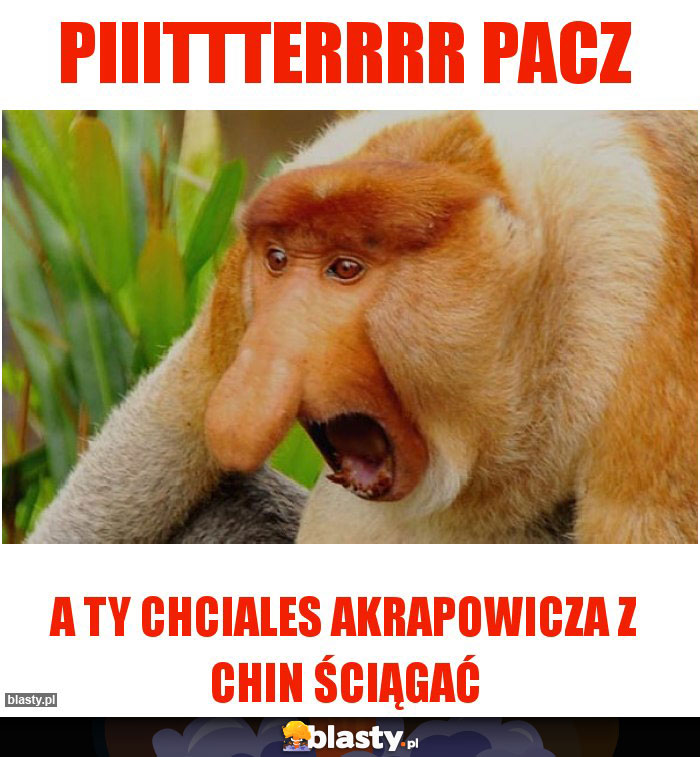 Piiittterrrr pacz