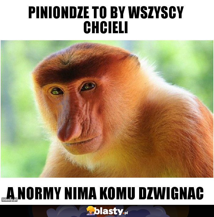 Piniondze to by wszyscy chcieli