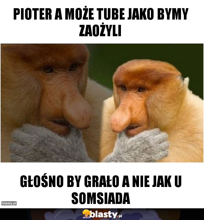PIOTER A MOŻE TUBE JAKO BYMY ZAOŻYLI