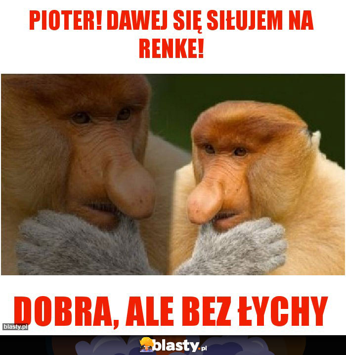 Pioter! Dawej się siłujem na renke!