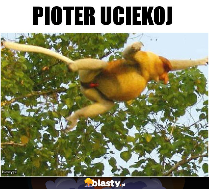 Pioter Uciekoj
