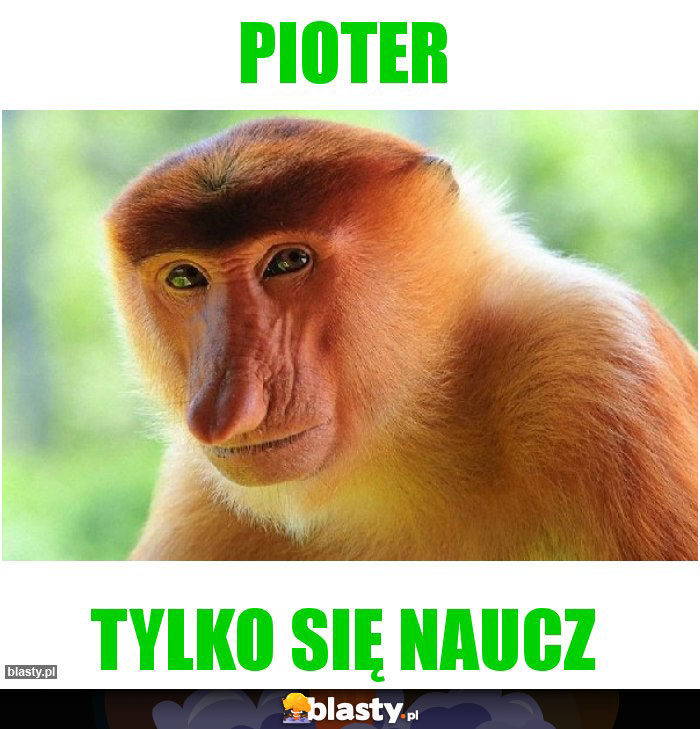 PIOTER