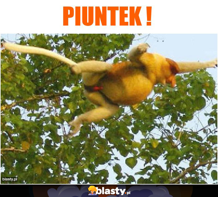 Piuntek !