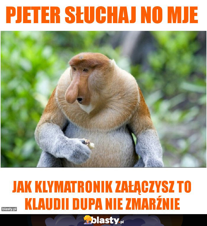 pjeter słuchaj no mje
