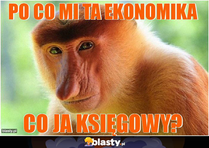 Po co mi ta ekonomika