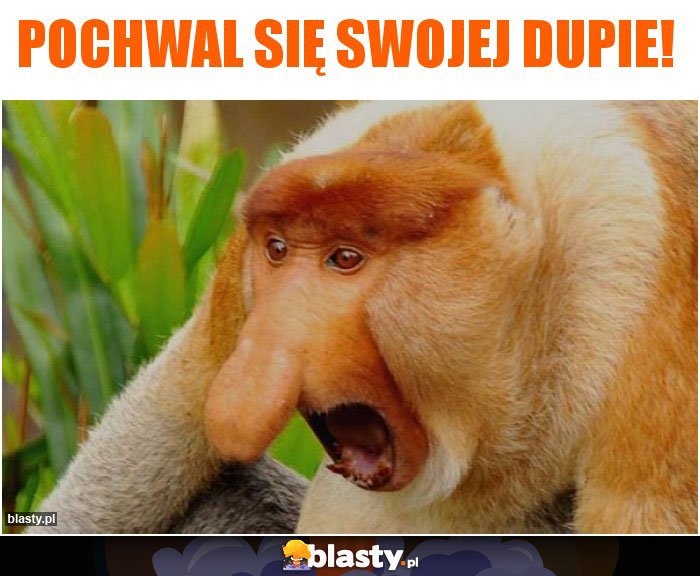 Pochwal się swojej dupie!