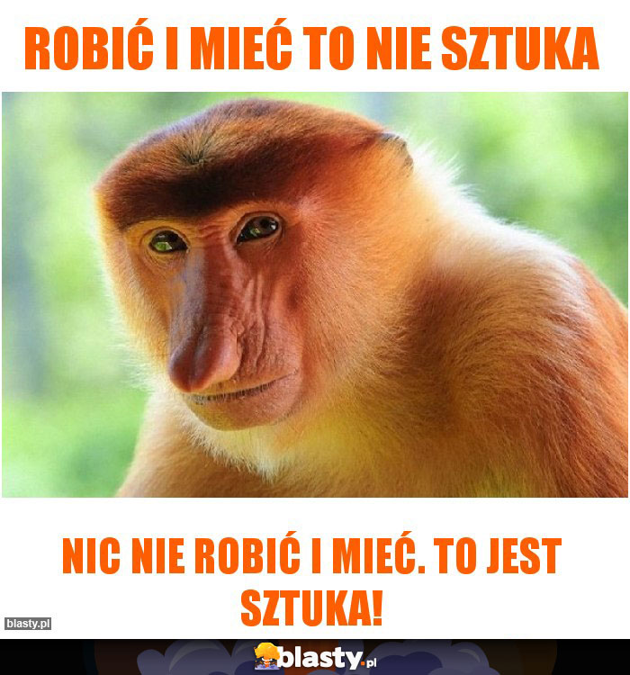 robić i mieć to nie sztuka