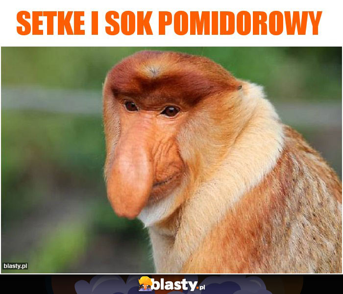 Setke i sok pomidorowy