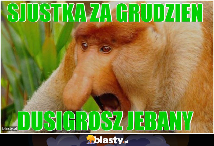 Sjustka za grudzien