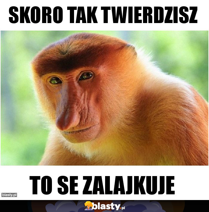 Skoro tak twierdzisz
