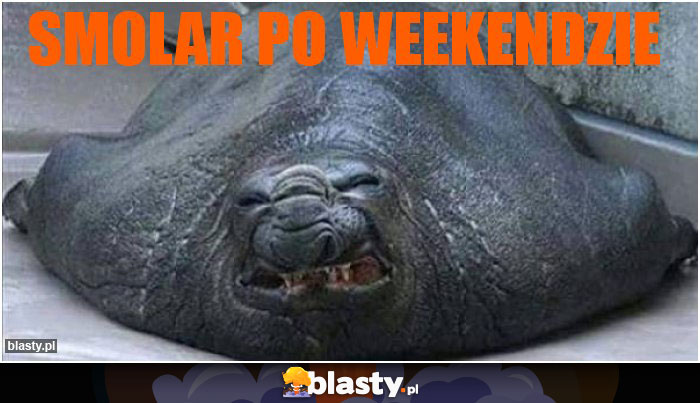 smolar po weekendzie