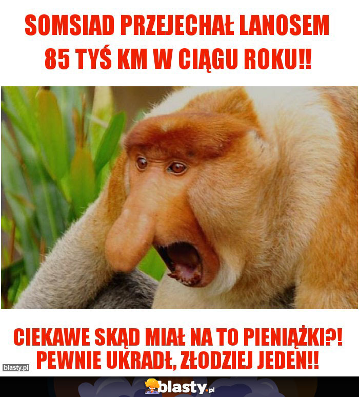 SOMSIAD PRZEJECHAŁ LANOSEM 85 tyś km w ciągu roku!!