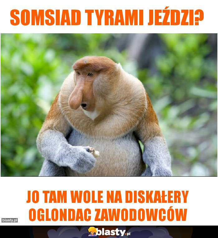 Somsiad tyrami jeździ?