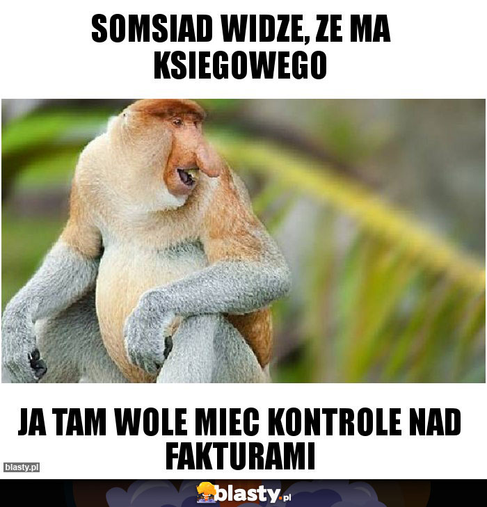 SOMSIAD WIDZE, ZE MA KSIEGOWEGO