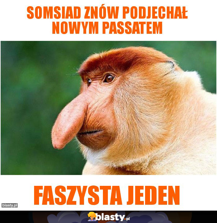 Somsiad znów podjechał nowym passatem