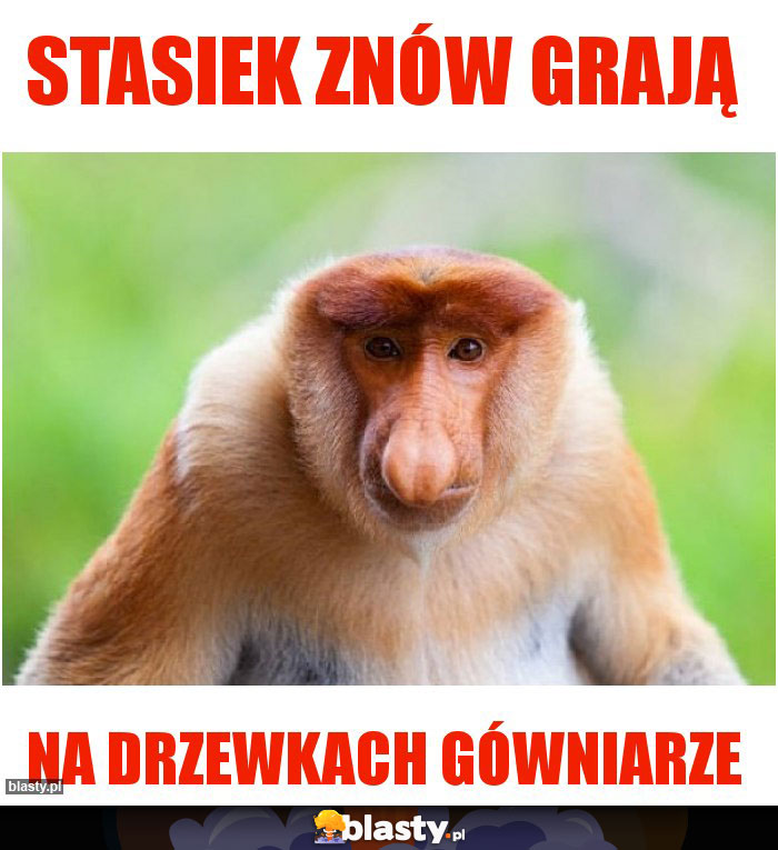 Stasiek znów grają