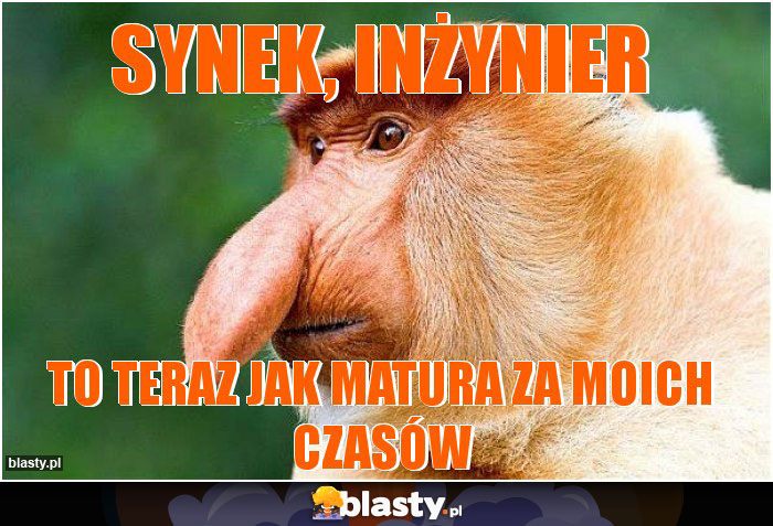 synek, inżynier