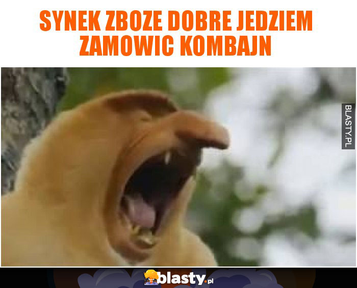synek zboze dobre jedziem zamowic kombajn
