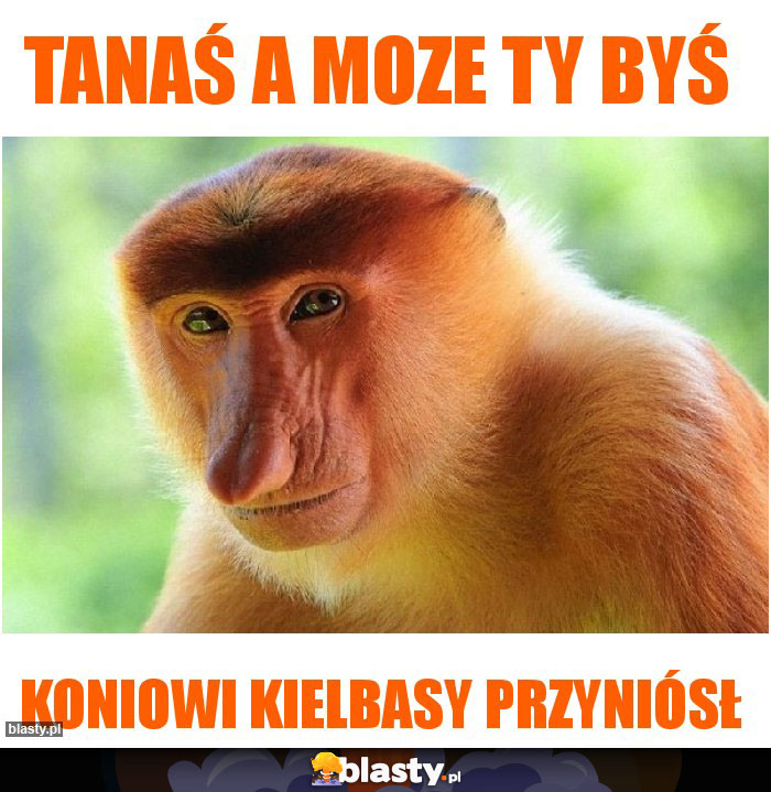 Tanaś a moze ty byś