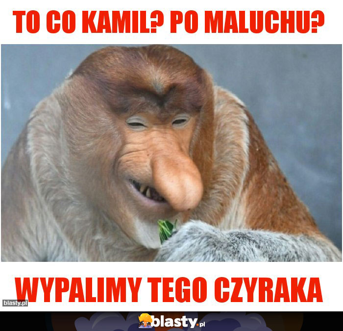 To co Kamil? Po maluchu?