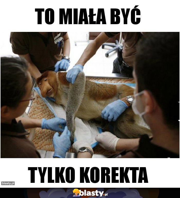 To miała być