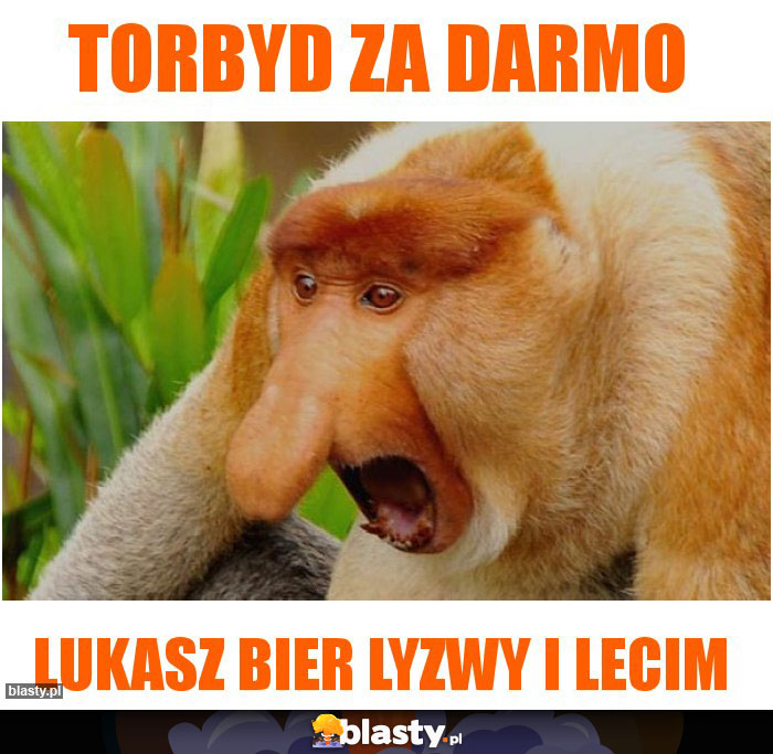 Torbyd za darmo