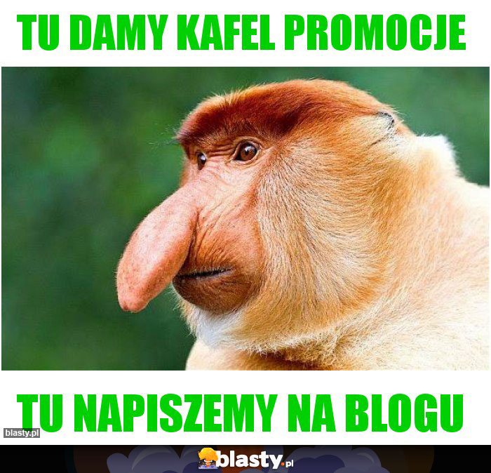 TU DAMY KAFEL PROMOCJE