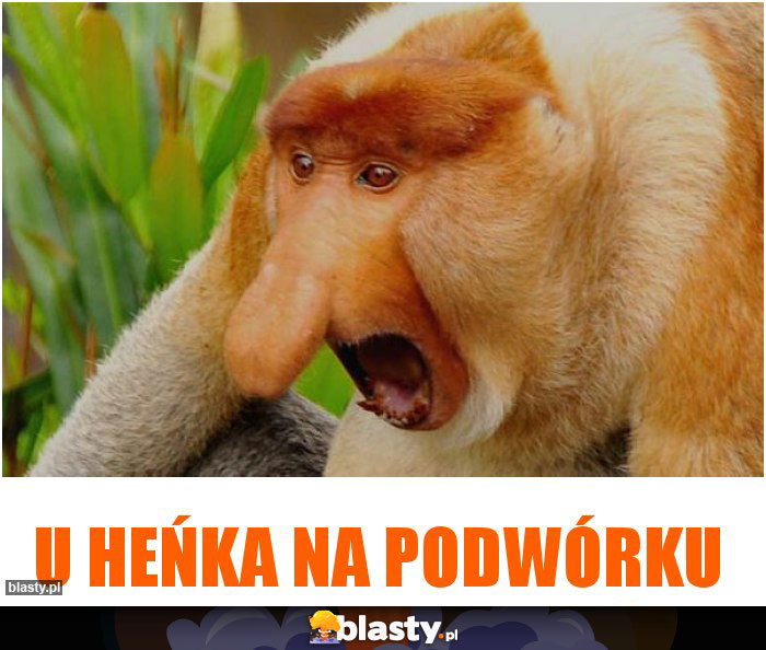 U Heńka na podwórku