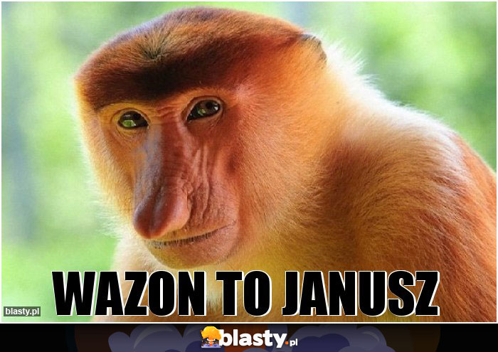 Wazon to janusz