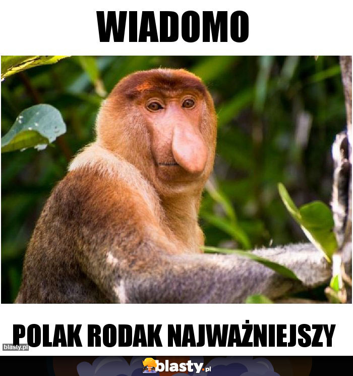 wiadomo